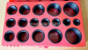 Bo-gioang-seal-phot-JTC-1044