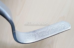 Cay-nay-sua-chua-dong-son-JTC-2535