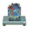 Mô hình cắt bổ nắp xy lanh động cơ SOHC Daesung G3 G-300301